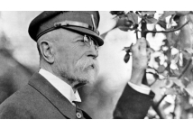 Státní svátek 28.10.2025